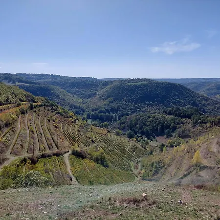 Bed & Breakfast Du Portail Fleuri Senergues