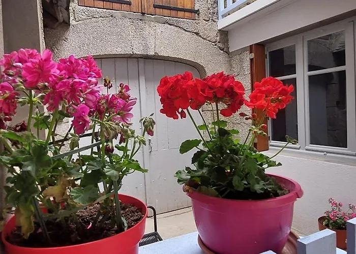 Bed & Breakfast Du Portail Fleuri Senergues