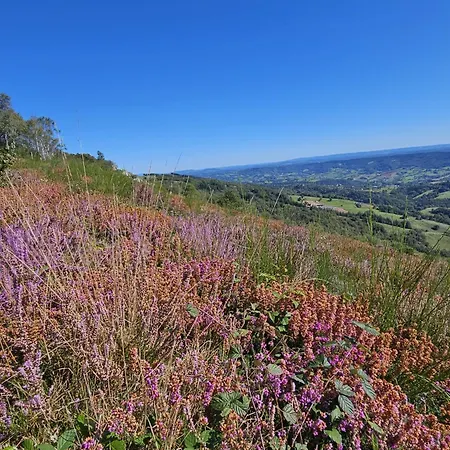 Alojamento de Acomodação e Pequeno-almoço Du Portail Fleuri 3*